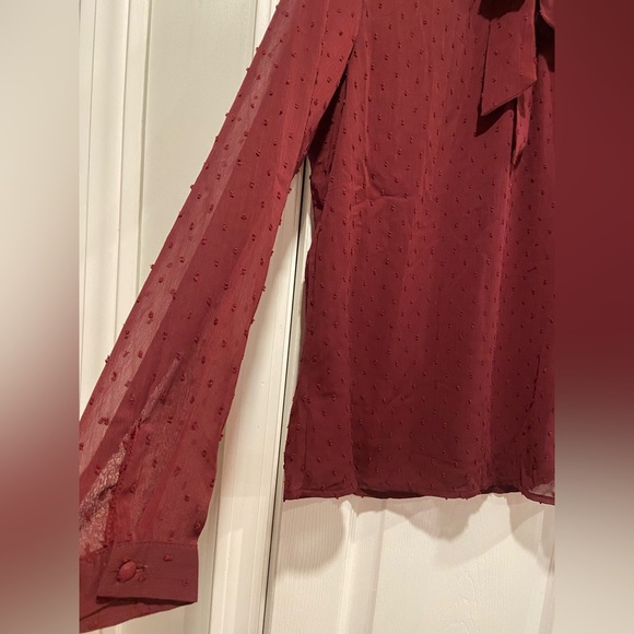 NWT Aconiya Size S Burgundy Swiss Dot Chiffon Lined High Neck Bow Lined Top - Picture 4 of 11